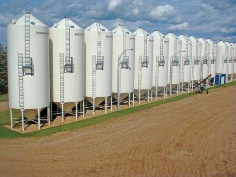 Grain Silos lined up